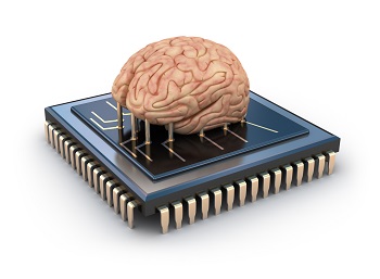 brain on a chip.jpg