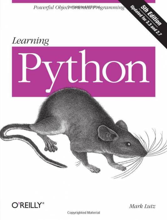 learning_python.jpg